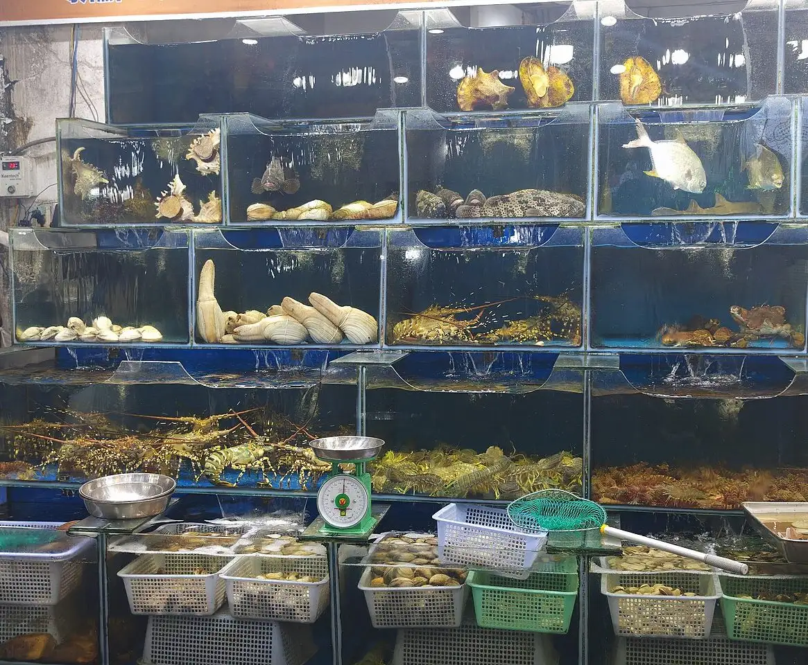 Ảnh minh họa: Hải sản tươi sống tại một khu chợ đêm ở Phú Quốc, không phải tại Ra Khơi